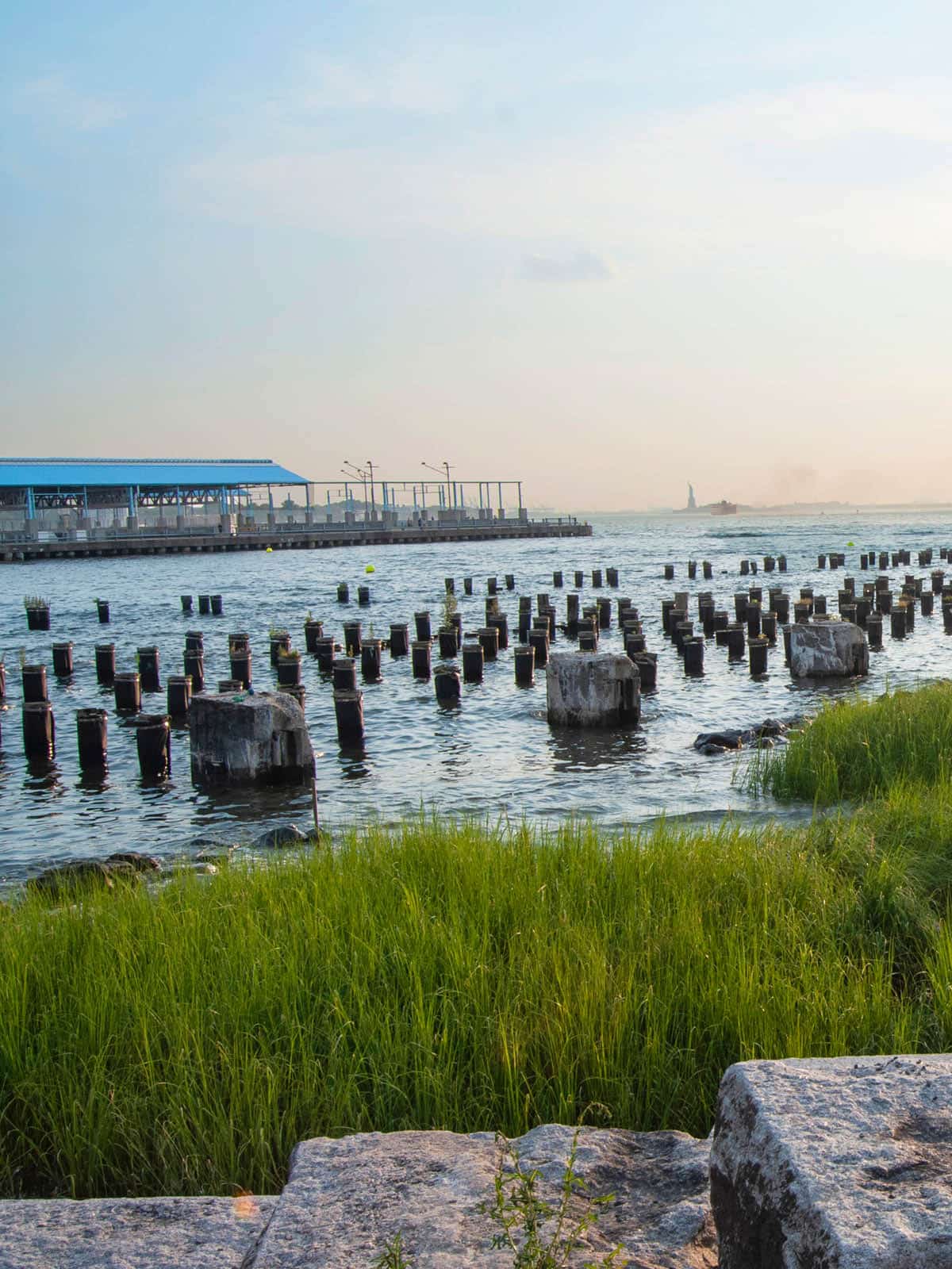 Pier 1 Salt Marsh and Pile Field at sunset. Pier 2 is seen in the distance.