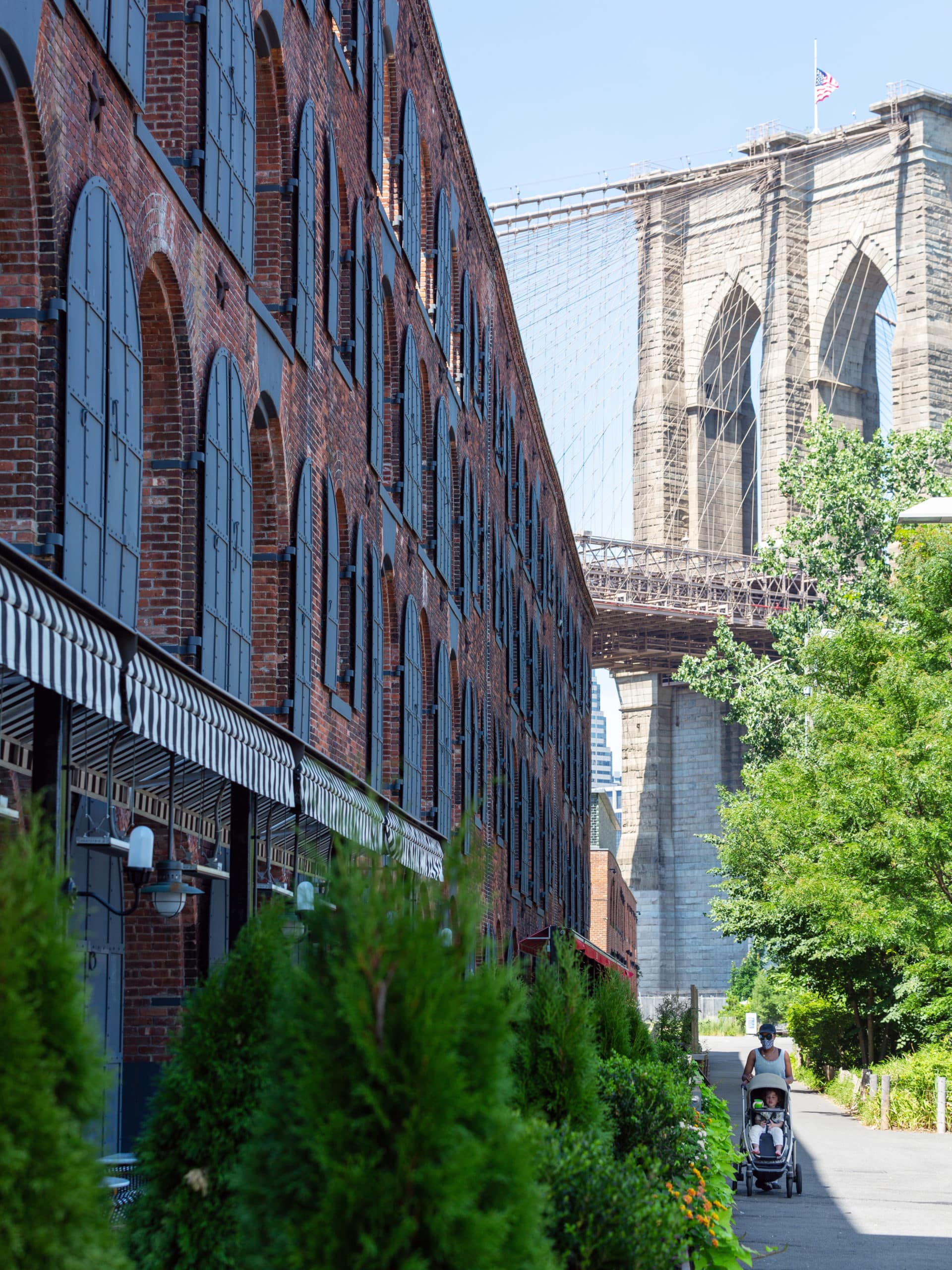 Empire Stores beside the park with trees and bushes on a sunny day. The Brooklyn Bridge is seen overhead.