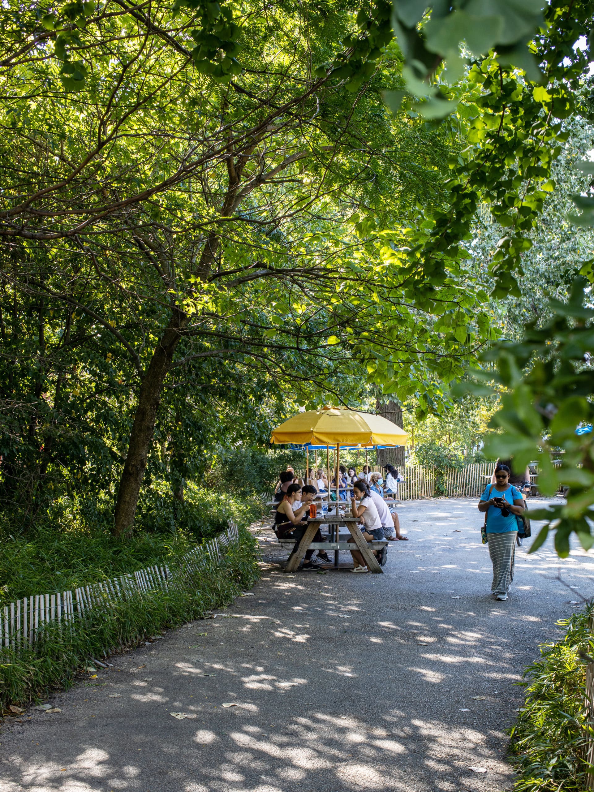 People eating at picnic tables in the Picnic Grove on a sunny day.