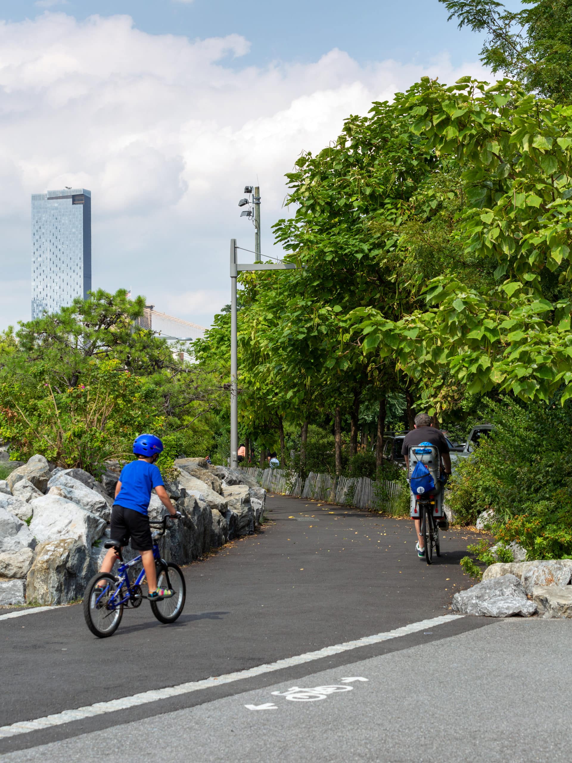 Man and boy bike away down a tree-lined path on a sunny day.