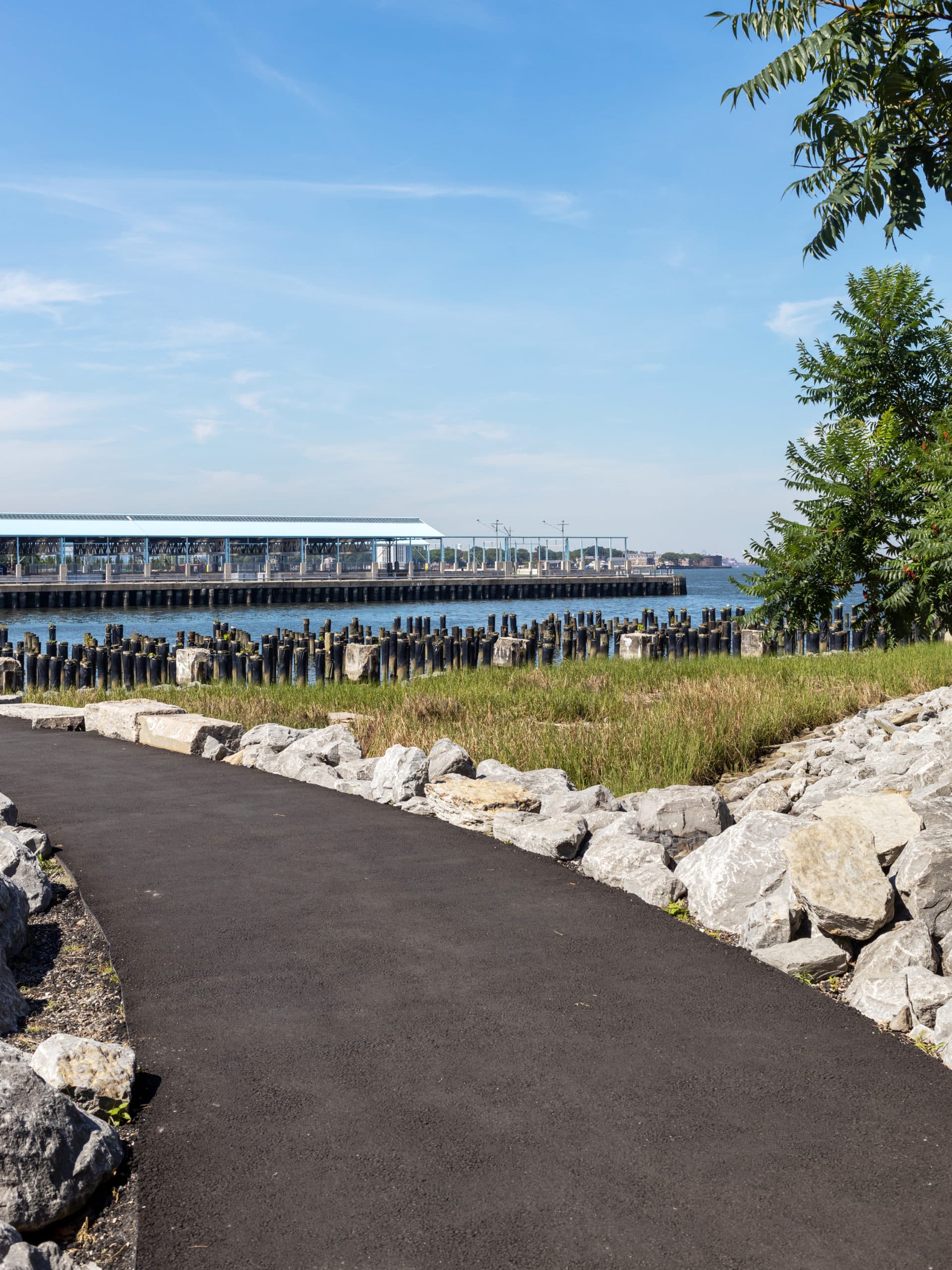 View of Pier 1 Salt Marsh and Pile Field from the Greenway on a sunny day. Pier 2 is seen in the background.