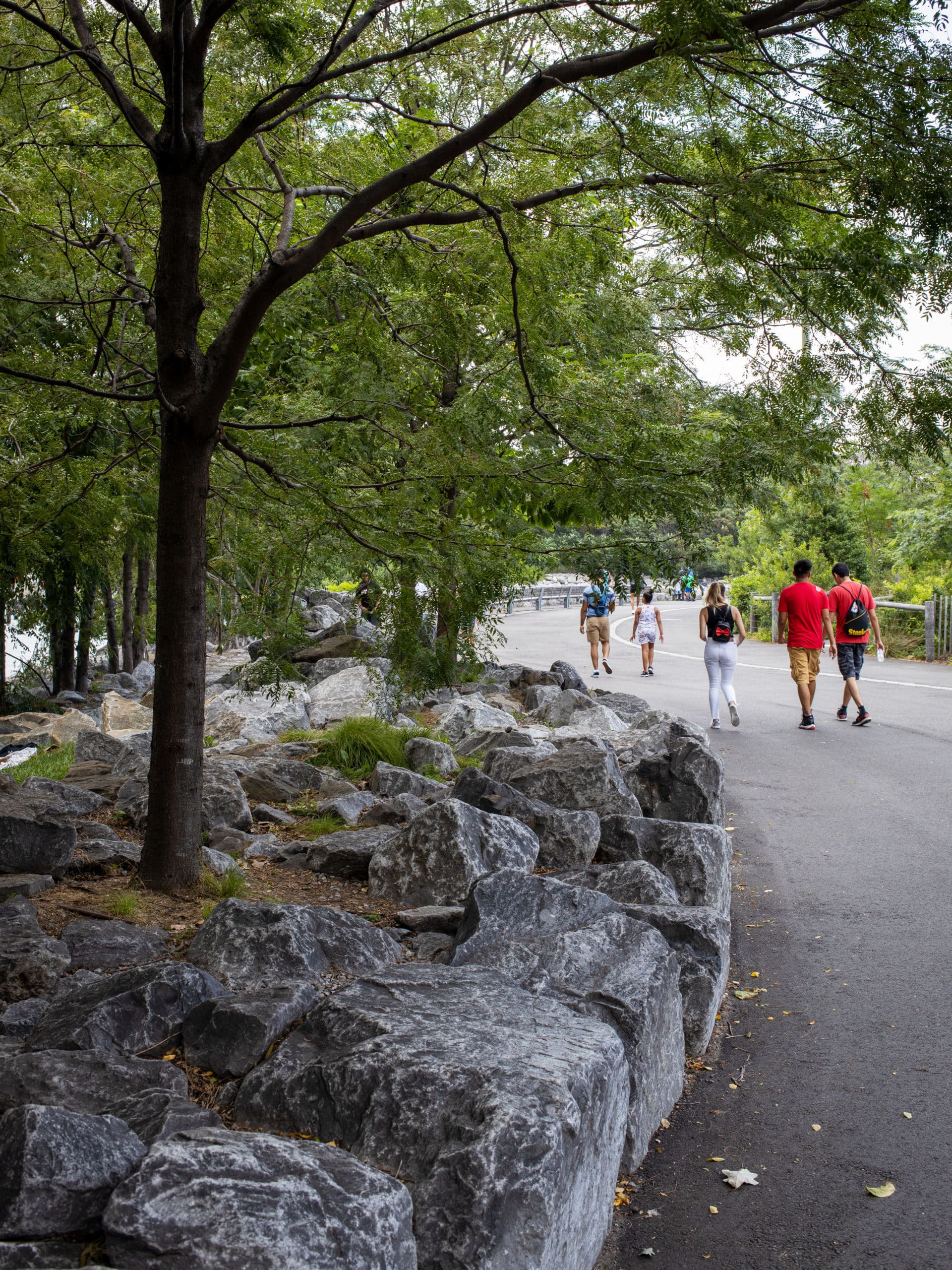 Trees growing beside the Greenway with people walking in the background.