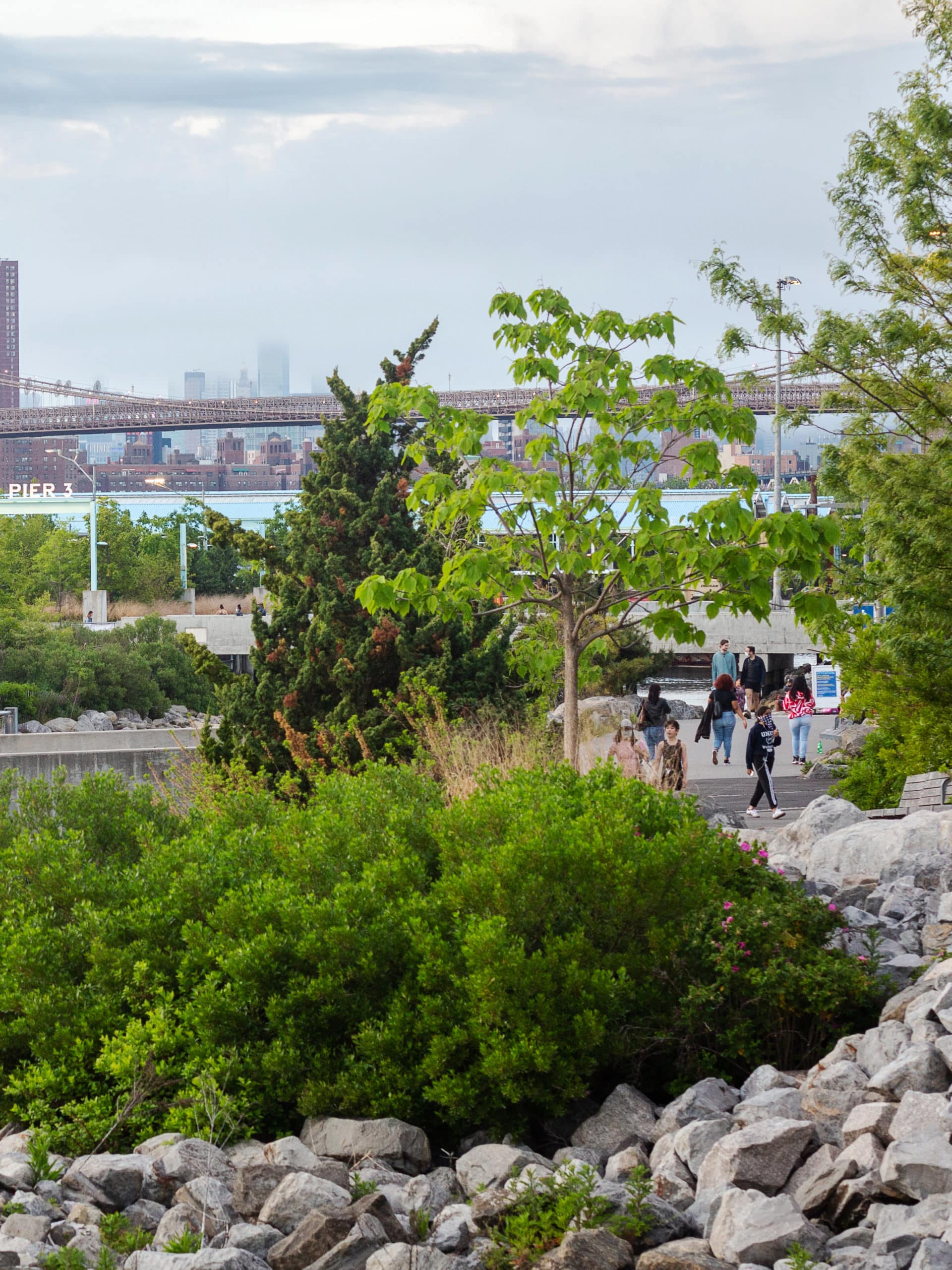 Bushes and trees on the Greenway on a cloudy day. Pier 3 and the Brooklyn Bridge seen in background.