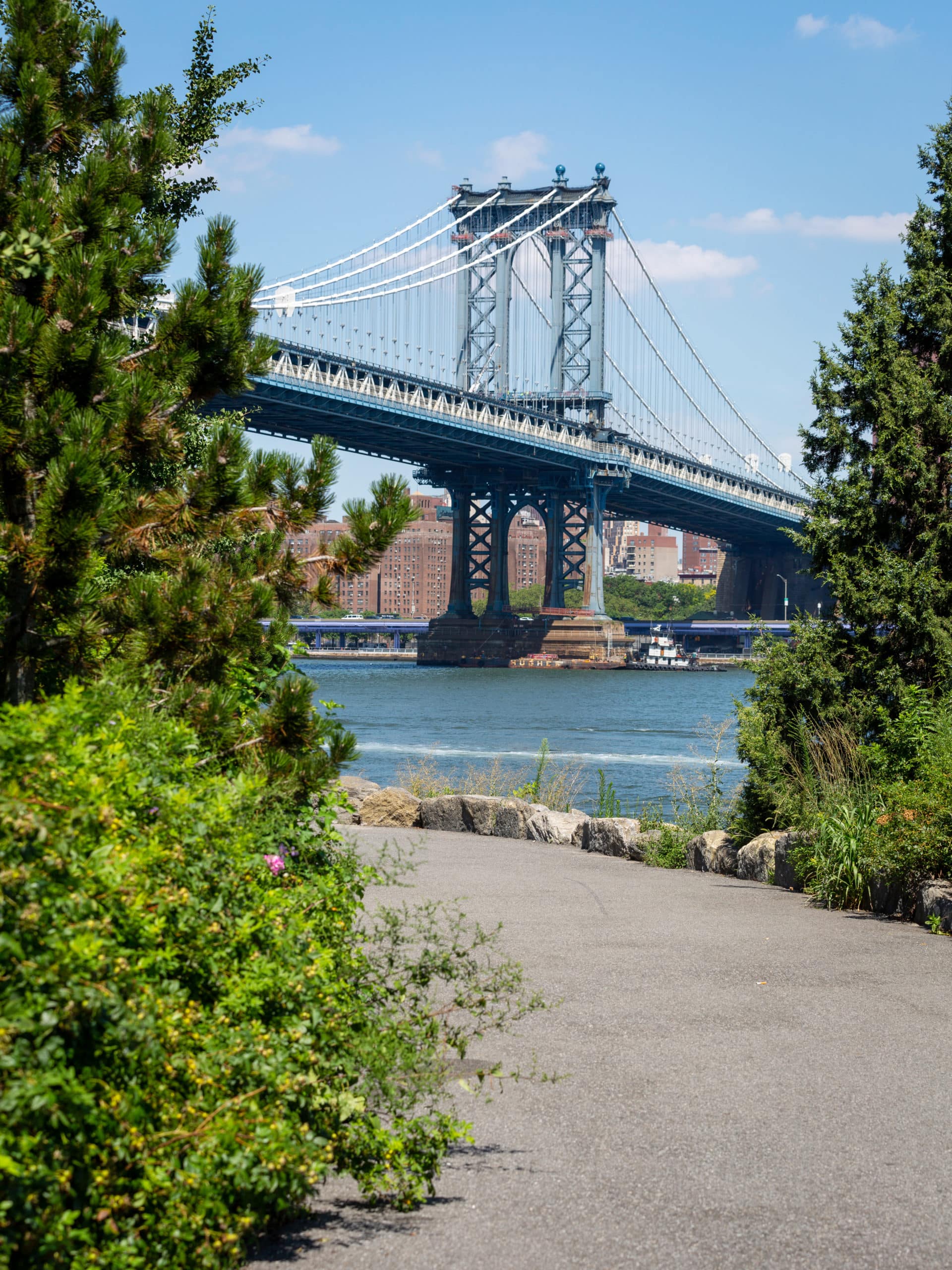 Tree-lined pathway at John Street on a sunny day. The Manhattan Bridge is seen in the distance.