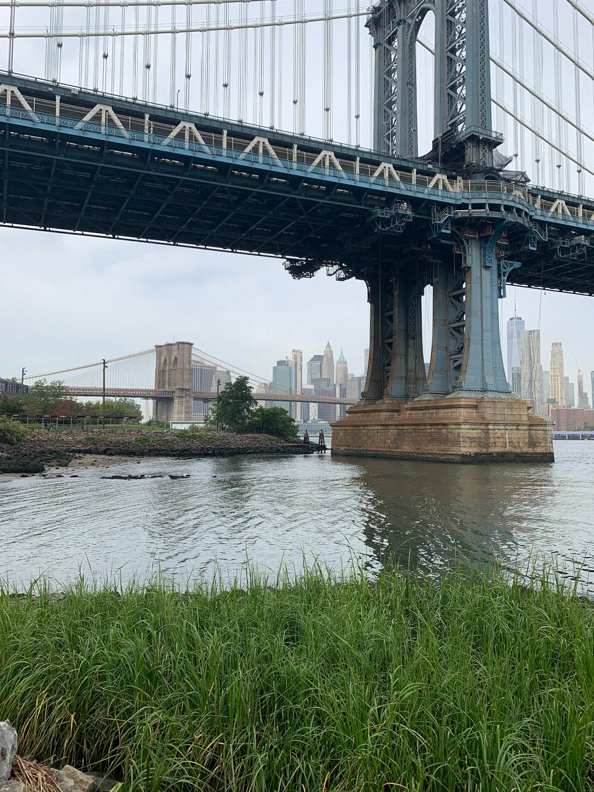 Tidal marsh looking over water and base of Manhattan Bridge on a cloudy day. The Brooklyn Bridge can be seen in the background.