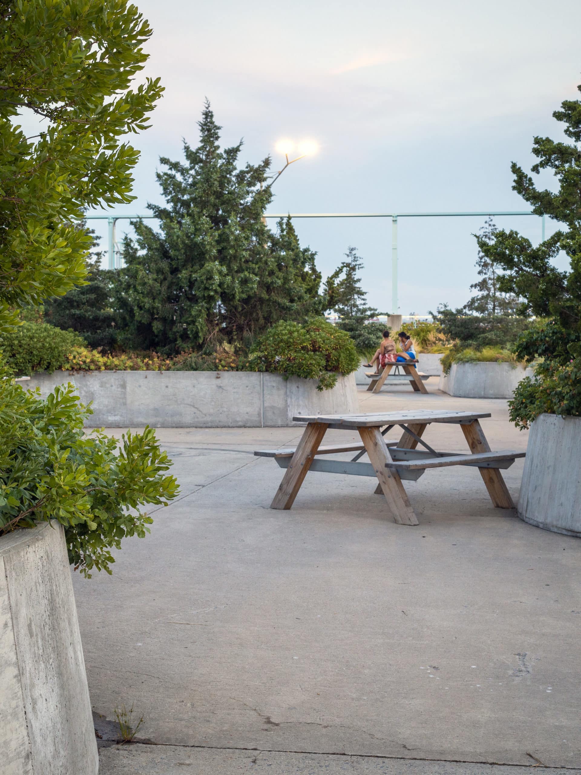 Picnic table surrounded by greenery at Pier 3.