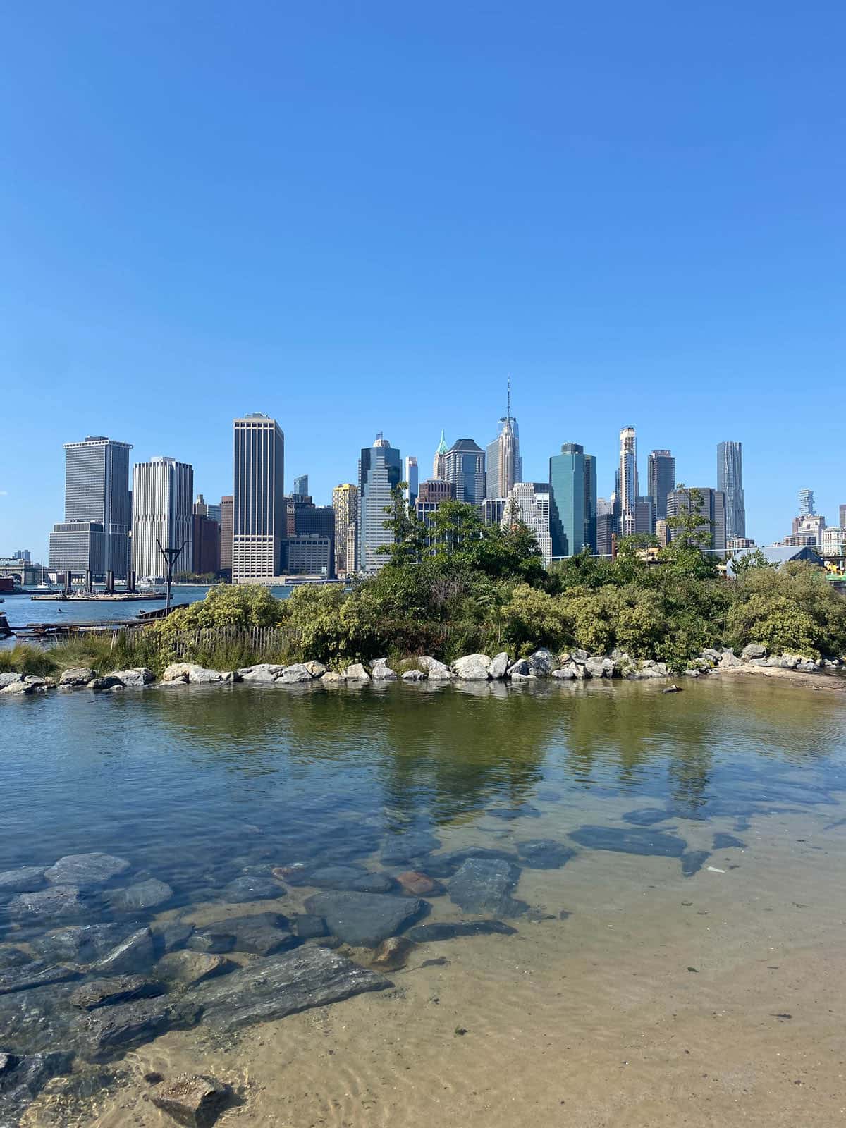 Small island with trees off the shore of Pier 4 Beach on a sunny day. Lower Manhattan is seen in the distance.