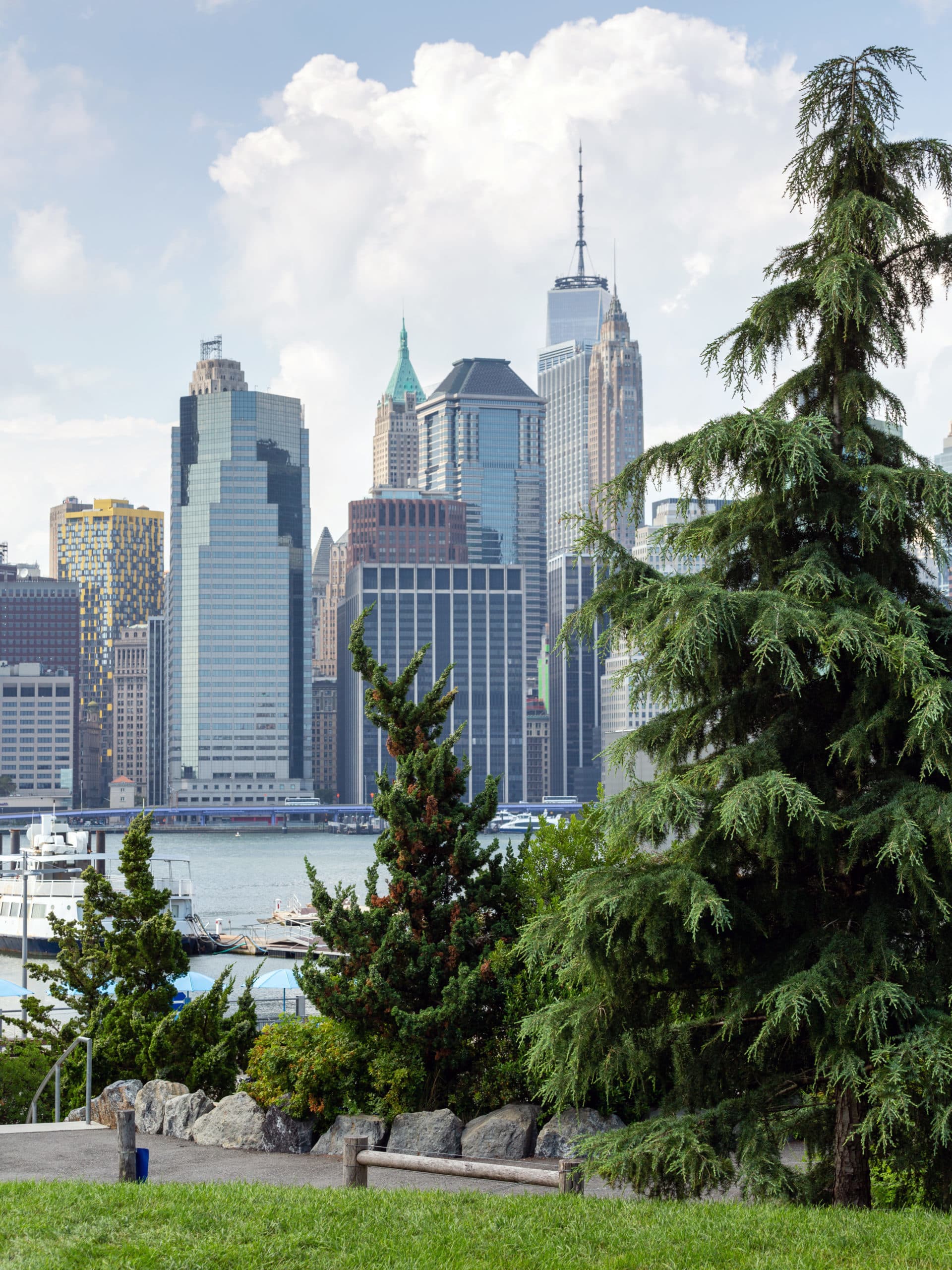 Trees along the path in Pier 5 Uplands with view of Manhattan.