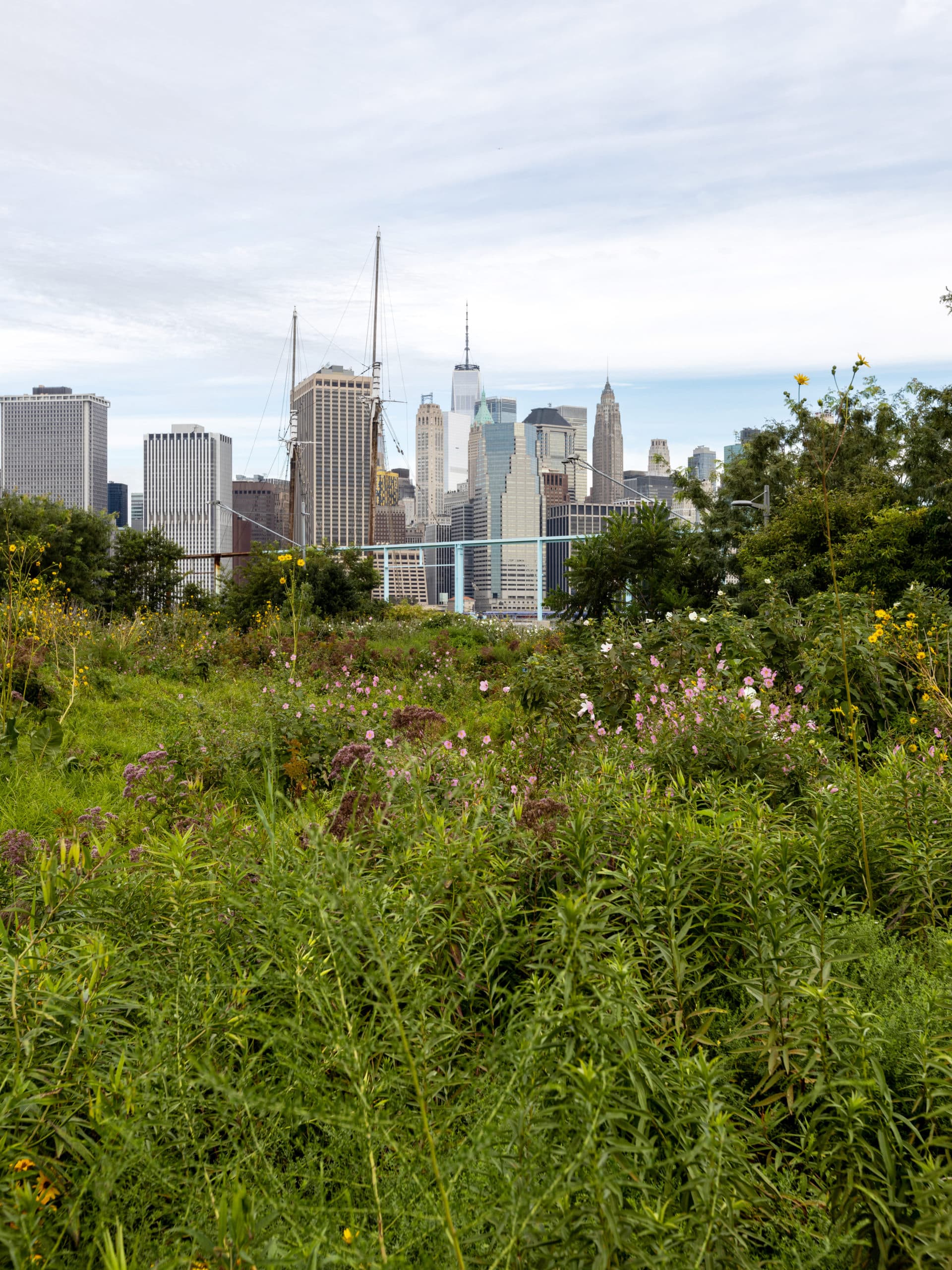 Flowers and bushes with lower Manhattan in the distance.