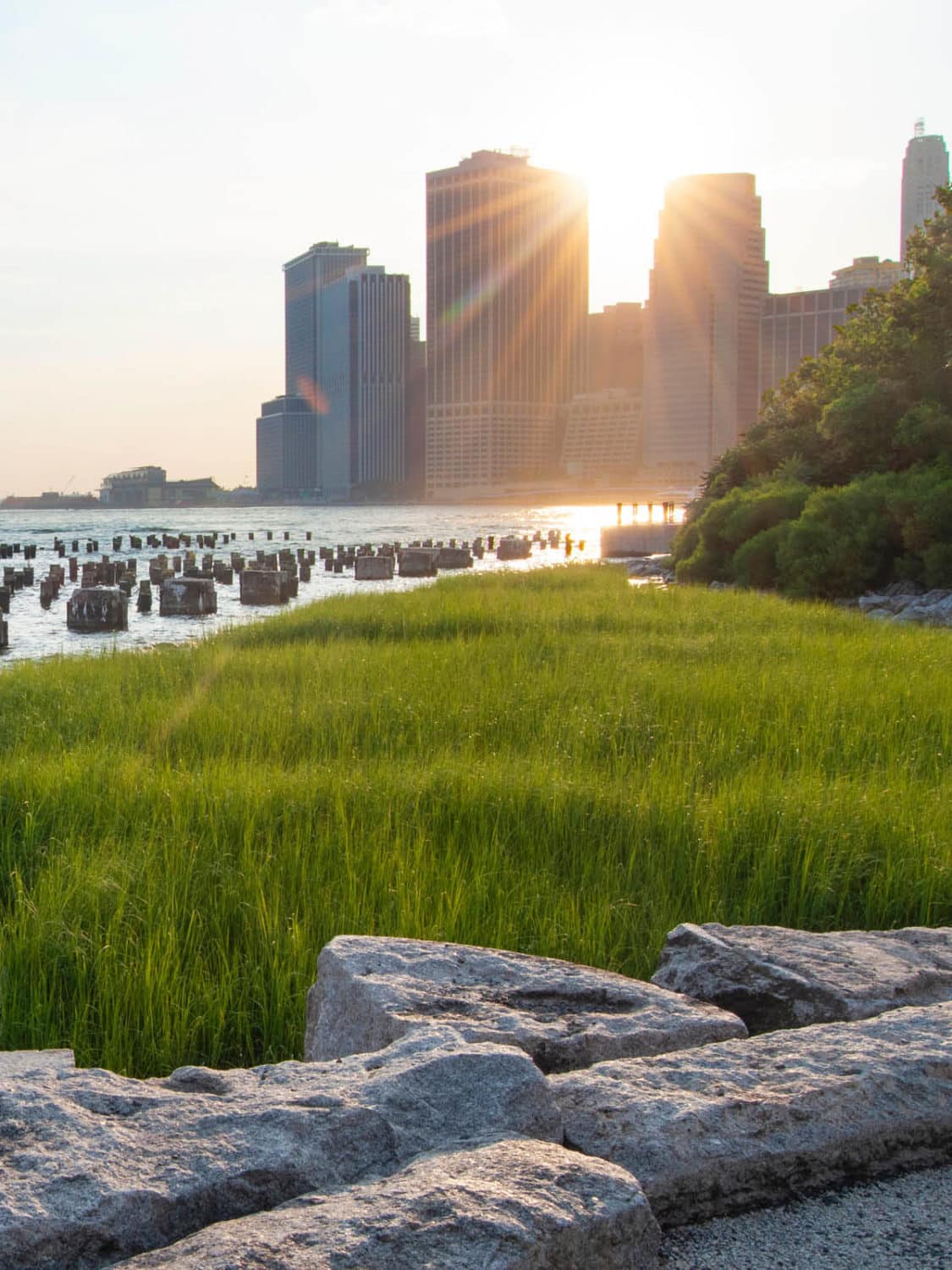 Sunset over Pier 1 Salt Marsh and Pile Field.