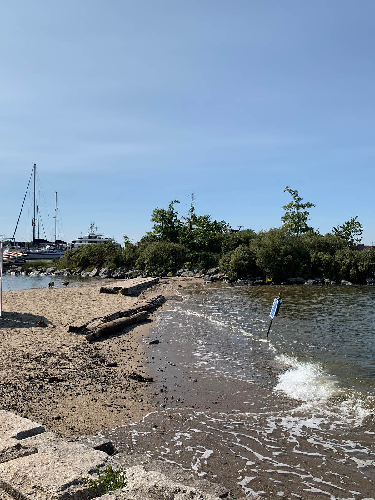 Sand bar leading to a small island with trees on a sunny day.