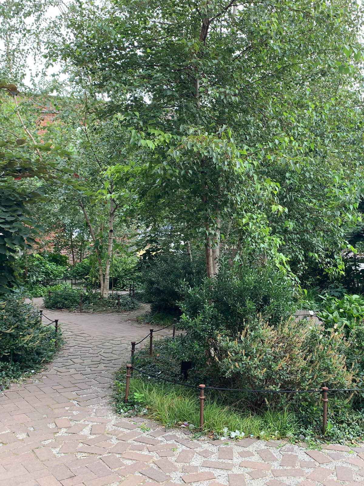 Pathway through bushes and trees on a cloudy day.