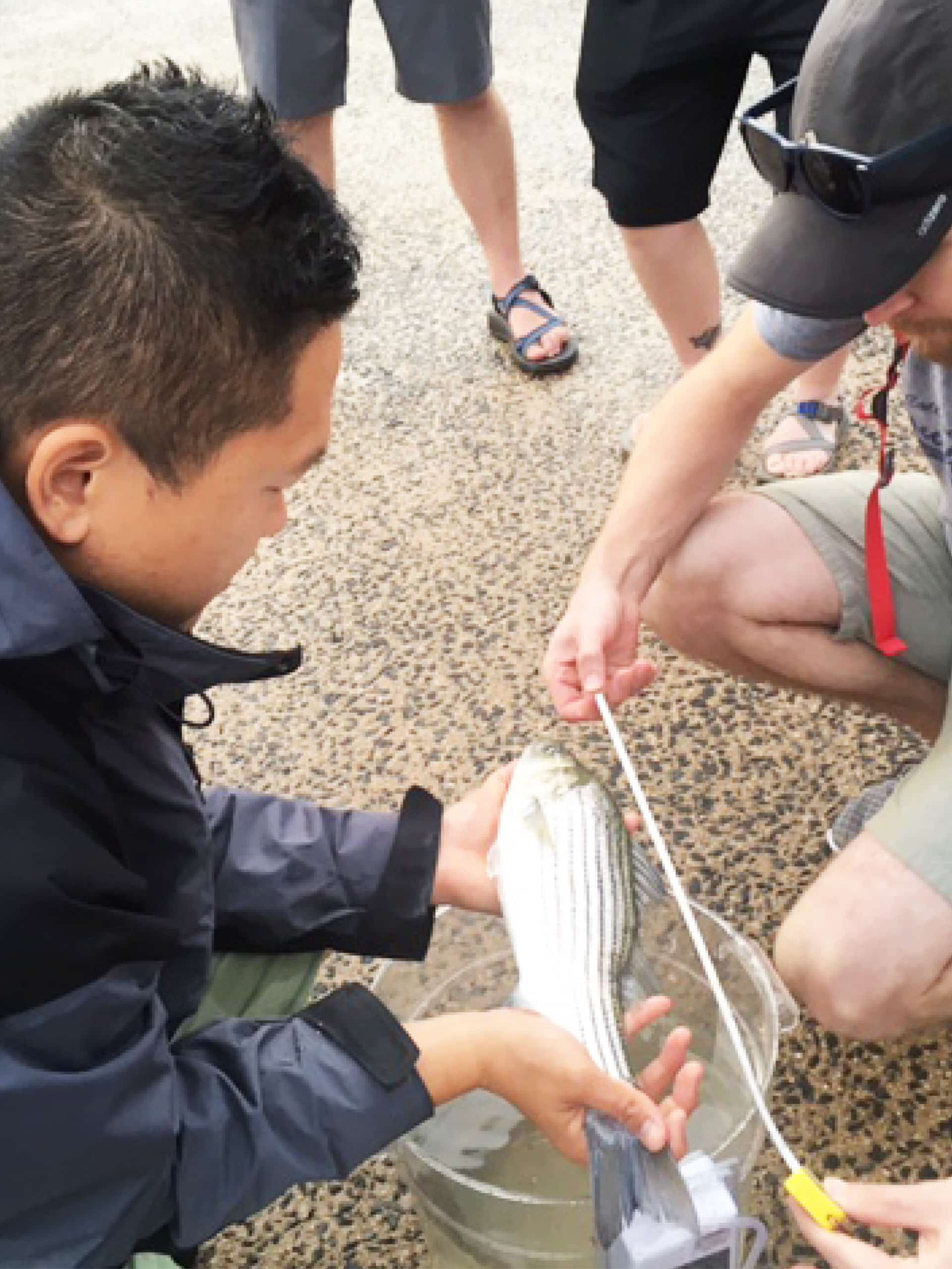 Man holding a fish over a bucket while another man measures it.