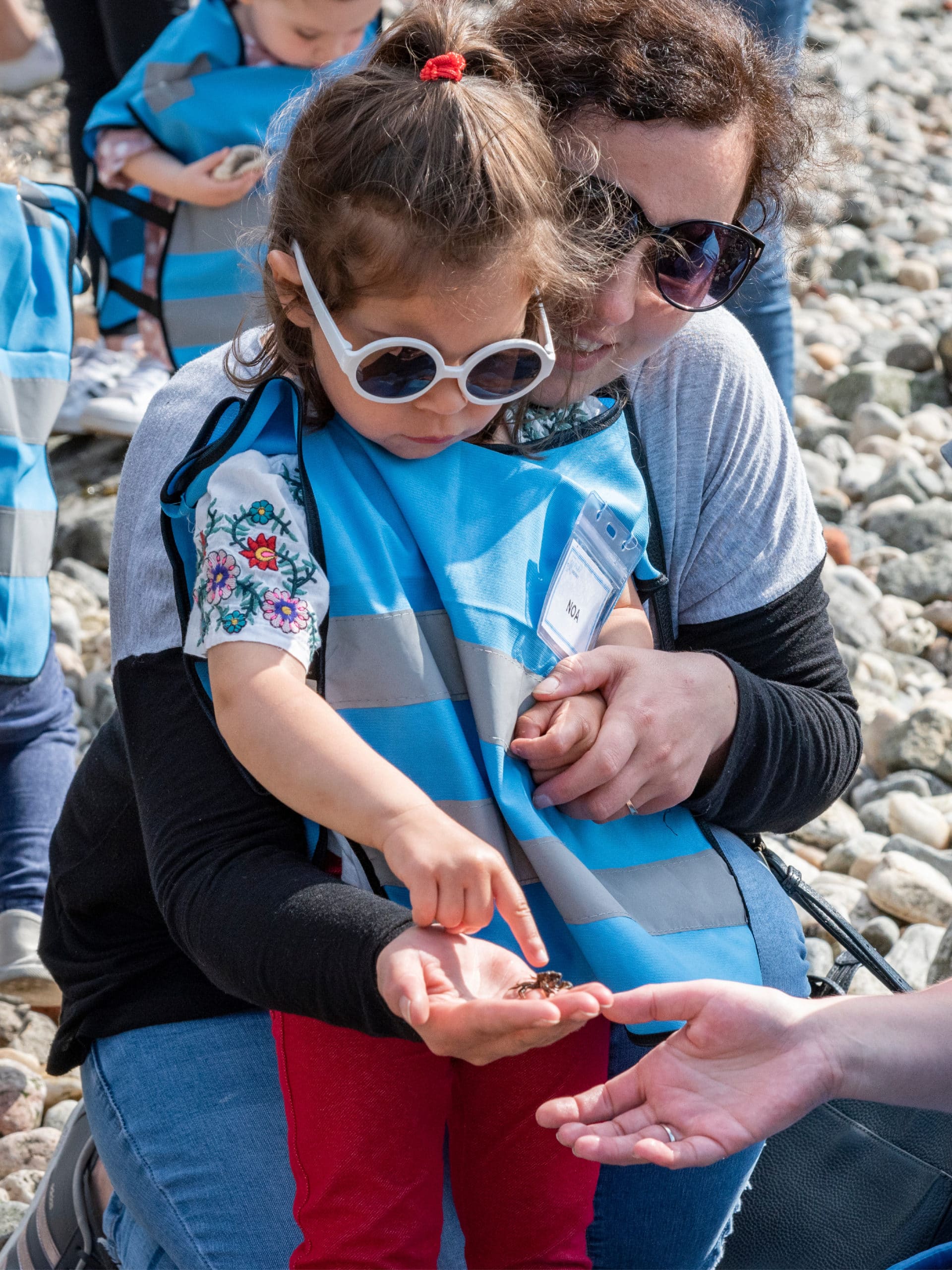 Adult and small child looking a small crab on the beach.