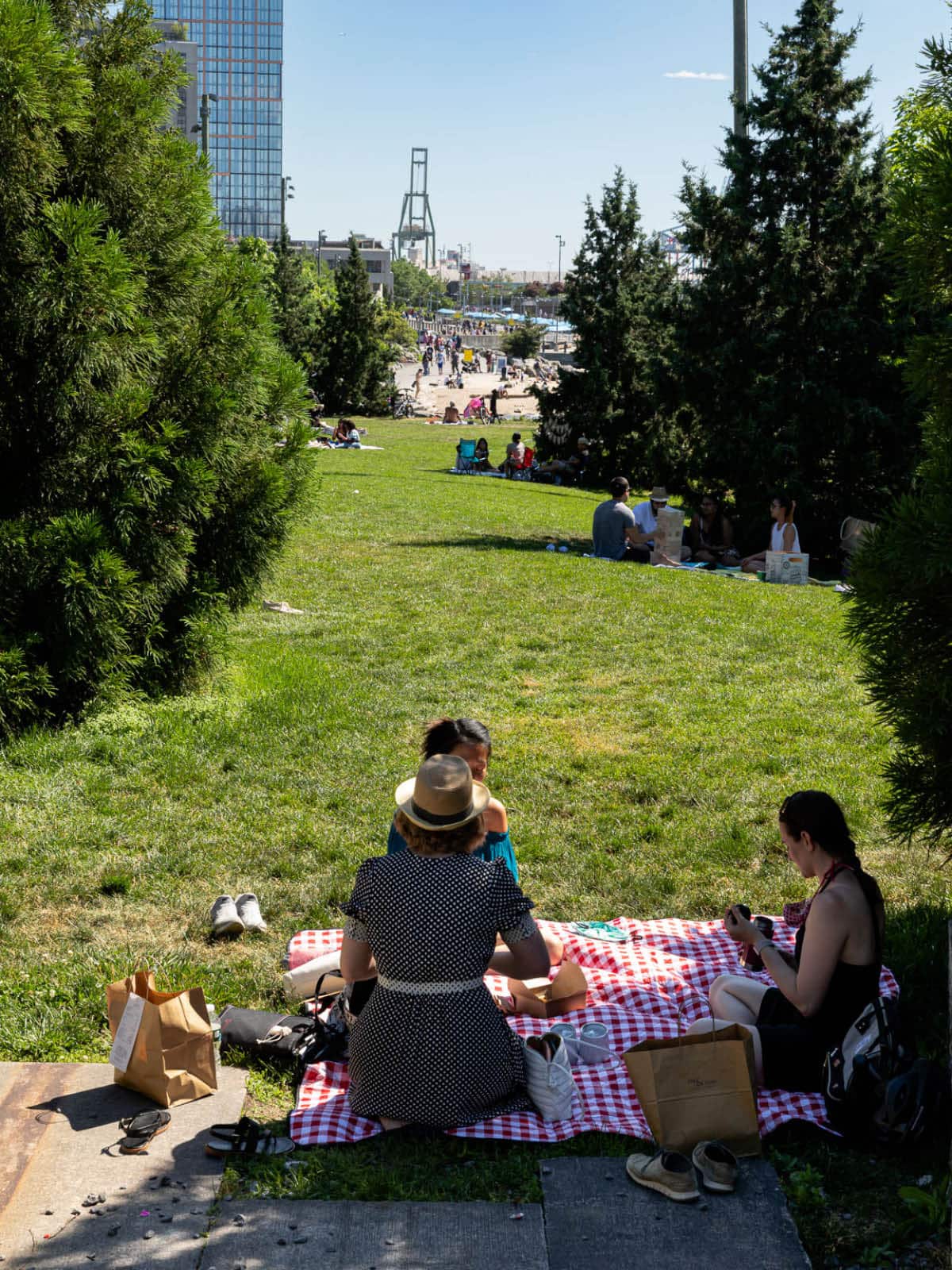 Groups having a picnic on the lawn on a sunny day surrounded by trees.