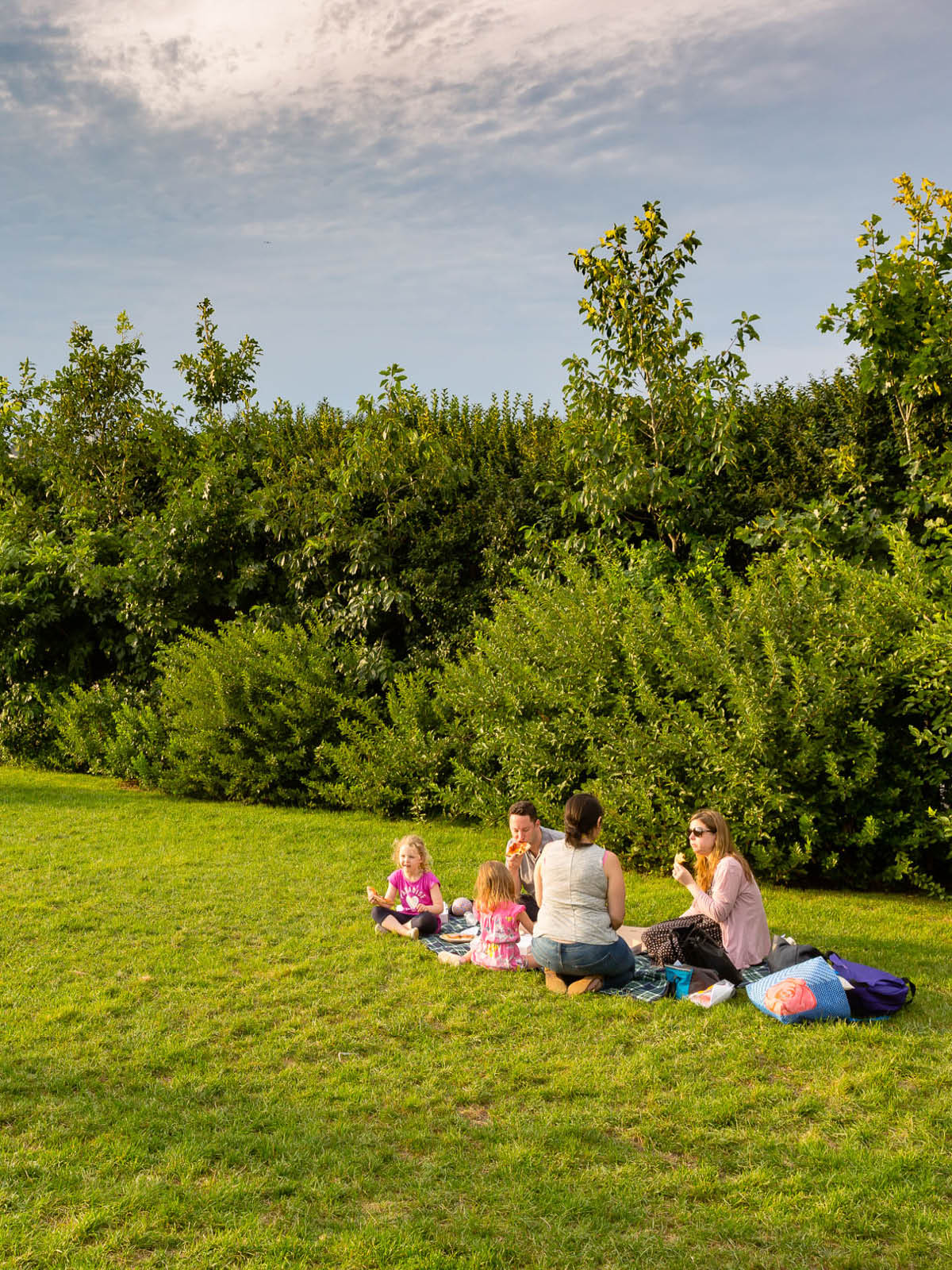 Family picnicking on the lawn by the bushes at sunset.