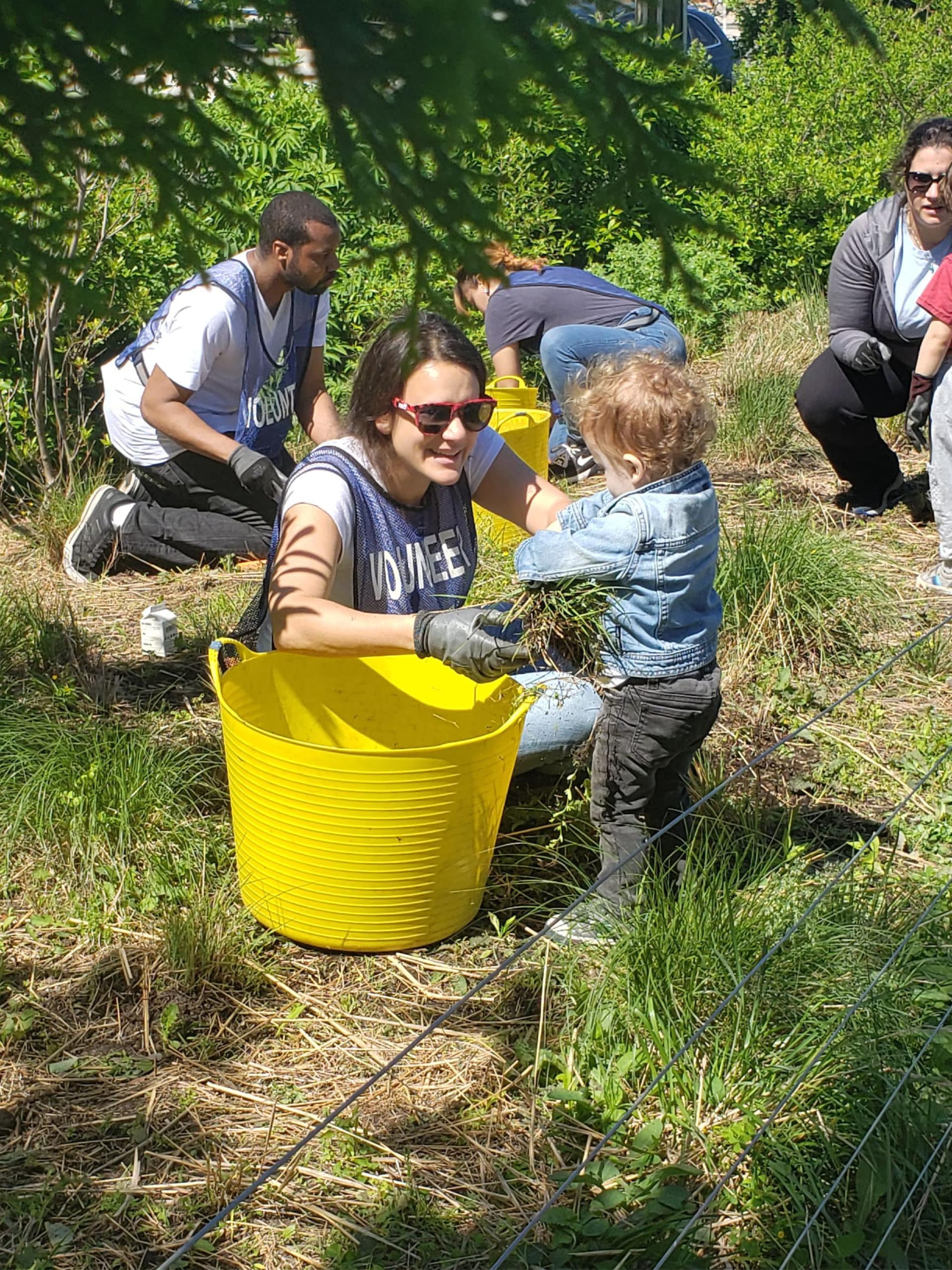 Volunteers with a small child gardening on a sunny day.