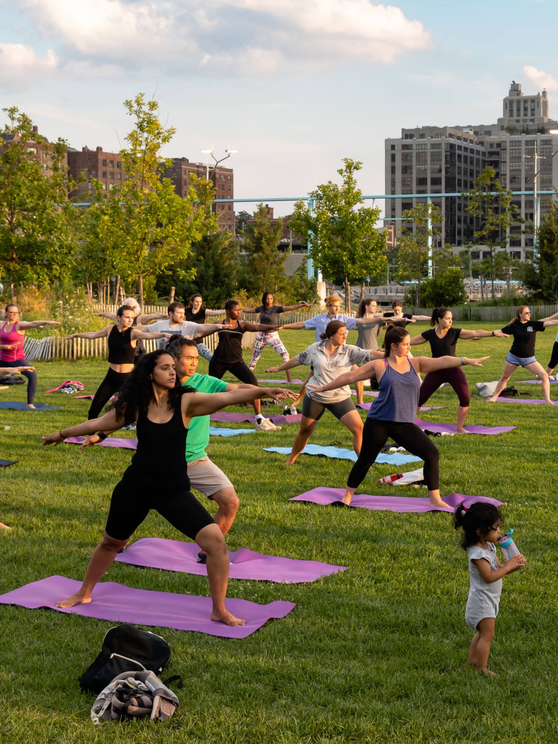 People doing yoga pose on a lawn.