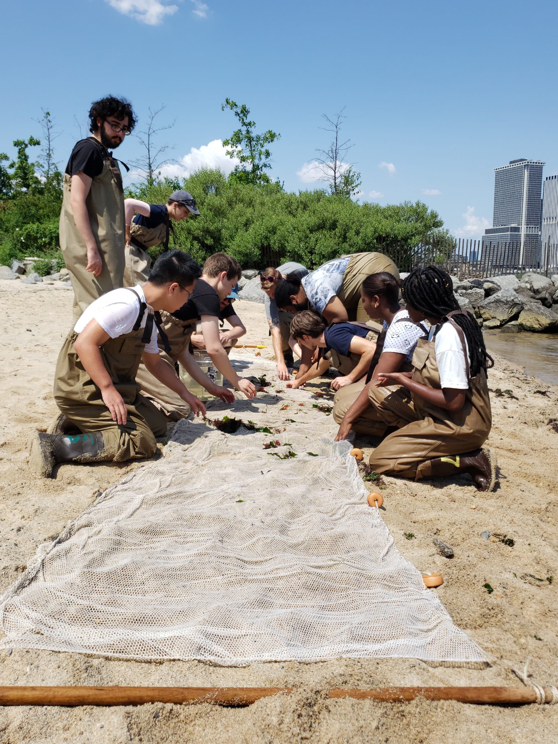 Teens in waders looking at a seine net on the beach on a sunny day.