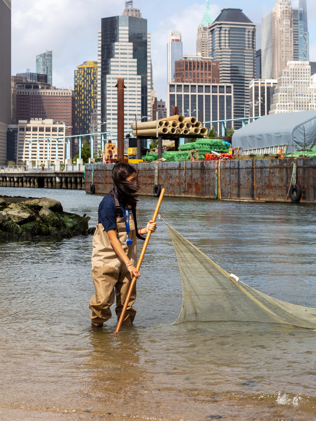 Woman wading in water using a seine net on a sunny day.