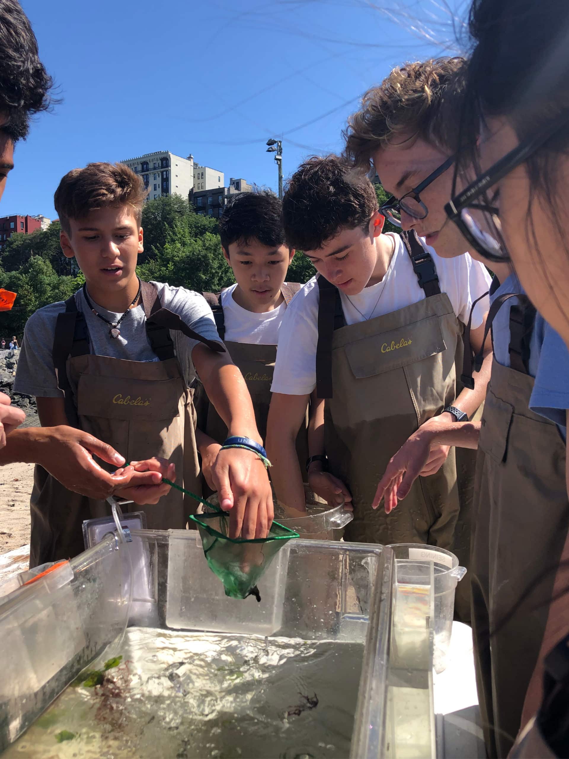 Teens looking at marine life in a bucket on a sunny day.