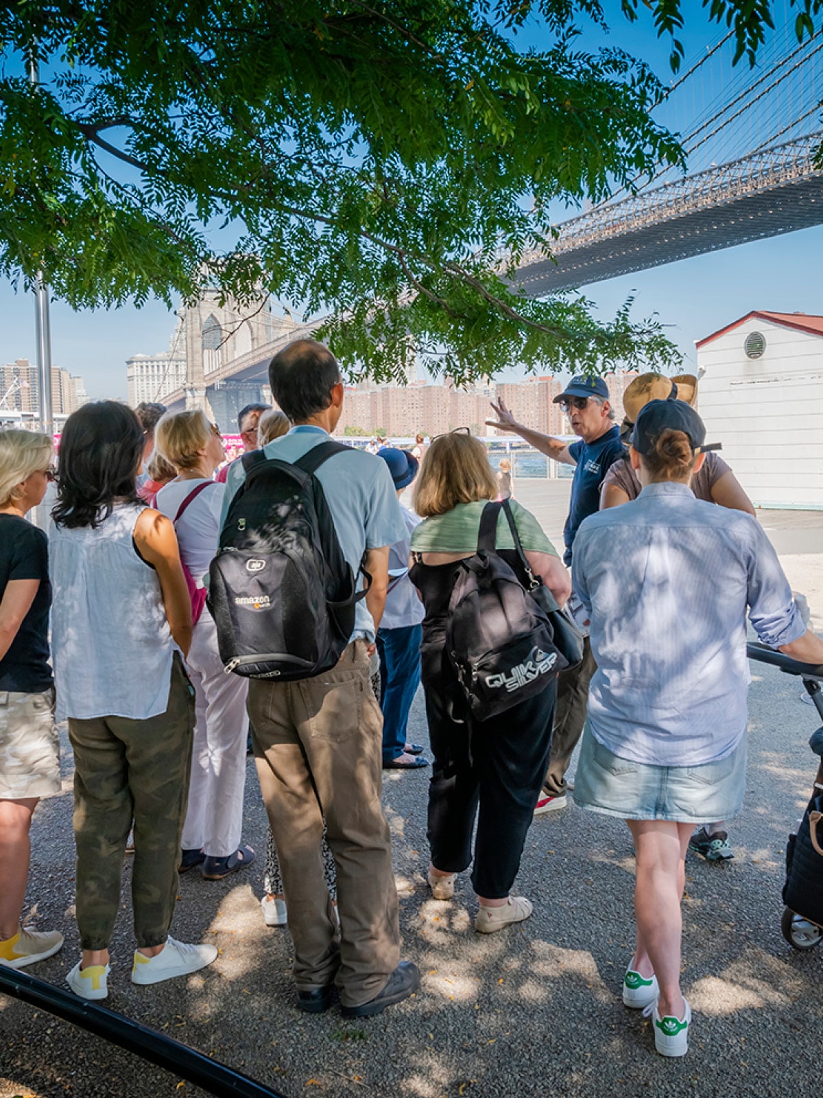 Tour group standing under a tree by the Brooklyn Bridge on a sunny day.